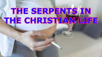 Neocenter Are there serpents in your Christian life?